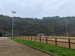 -枫露马术学院(藏书校区)