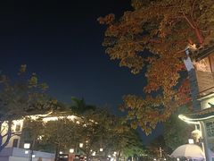 -鹅滋道(甘坑古镇店)