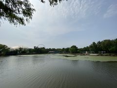 -南戴河国际娱乐中心