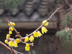 -月坛公园