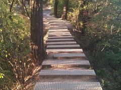 -少华山国家森林公园