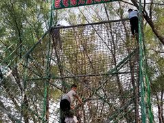 -东方巨龟苑景区