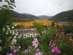 -南泥湾风景区
