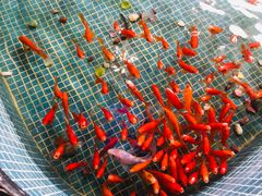 -水晶之星洗浴温泉汗蒸