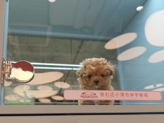 -FAELING PETS美天灵宠物(合生汇店)