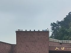 -乐山市博物馆