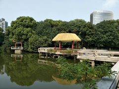 -江湾体育中心游泳馆