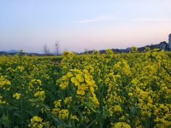 -罗田薄刀峰风景区