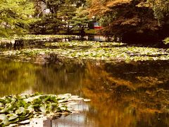 -北海道厅旧本厅舍(旧本庁舎)