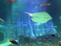 -沈阳海洋探索中心