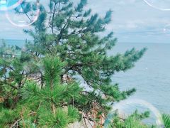 -海东龙宫寺
