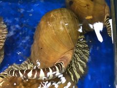 -海港湾海鲜加工坊(海鲜大世界店)