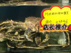 -蚝专家(北滘店)