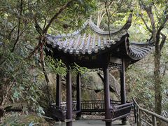 -东天目山风景区