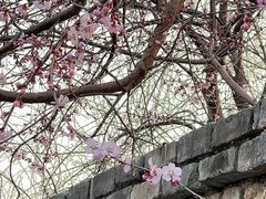 -春风习习