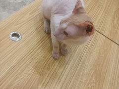 -东方之珠洗浴休闲广场(南开店)