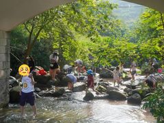-重庆彩云湖湿地公园