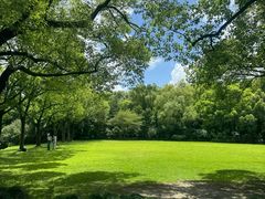 -西郊宾馆-地面停车场