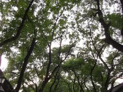 -北京国子监胡同