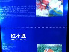 -福州罗源湾海洋世界旅游区