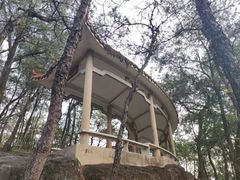 -榴花公园