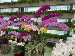 -兰陵国家农业公园