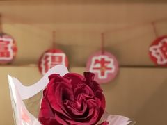 -海底捞火锅(和安宁春城店)