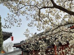 -北京艺术博物馆(万寿寺)