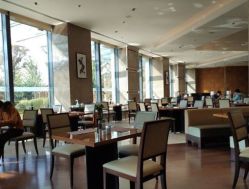 -沈阳新都绿城喜来登酒店·宴会厅