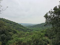 -湖山人家·湖景餐厅·特色农家菜(太湖西山店)