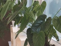 -巴依老爷新疆美食(常营店)