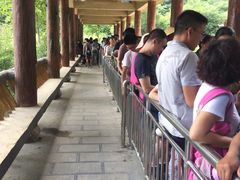 -牛背梁国家森林公园