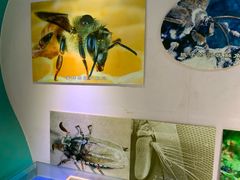 -上海昆虫博物馆