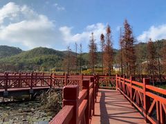 -广州市石门国家森林公园
