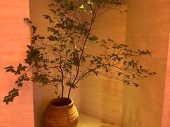 -舒小悦·舒养SPA·古法推拿(光环中心店)