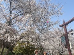 -堤角公园
