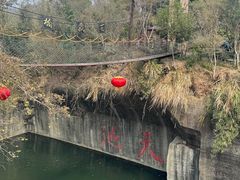 -千岛湖东南湖区