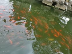 -莫奈庄园·儿童摄影馆·影视基地(江宁店)