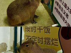 -盈香心动乐园