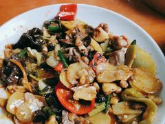 -阿弟早茶大排档(九村店)