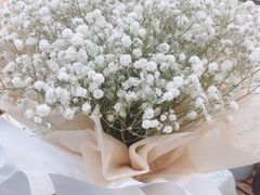 -Libra Flora花店(骆岗中央公园店)