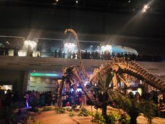 -自贡恐龙博物馆