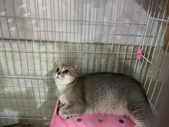 -暖阳宠物医院·犬猫康复中心·骨科