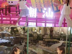 -白虎自助餐厅·真老虎·景观自助餐厅(广州长隆酒店)