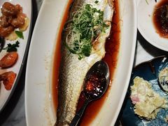 青花椒蒸白水鱼-荣兴酒家(徐家汇店)