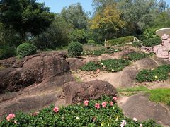 -蟹山公园