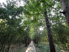 -同里国家湿地公园