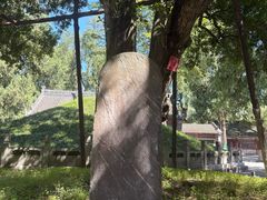 -武侯墓风景区