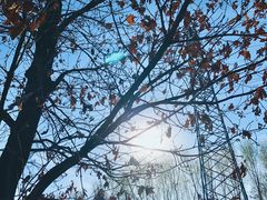 -蒲河岛湿地公园