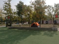 -永定河休闲森林公园